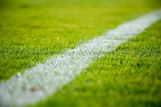 Les 10 joueurs de football légendaires qui ont marqué l'histoire